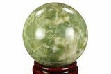 Polished Serpentine Sphere - Pakistan #124310-1